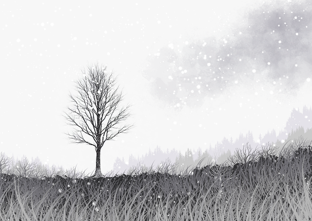 流量密码《榴莲社区》热点冷却红与黑