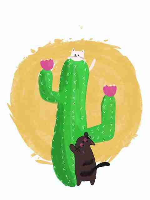 运营秘籍《海角网址》付费模式终极剖析