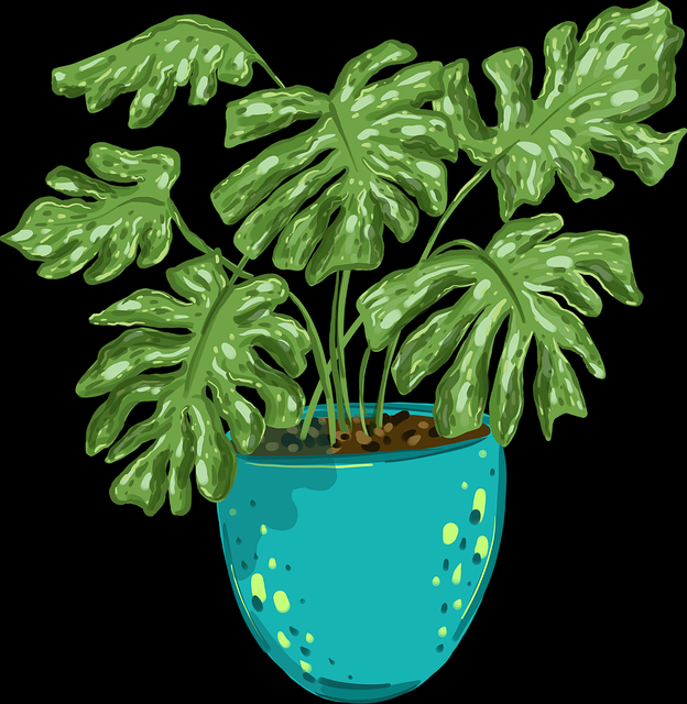 爆点逻辑！新91视频商业模式实战手册