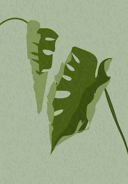 安全防线《新91视频》内容铁律幕后真相