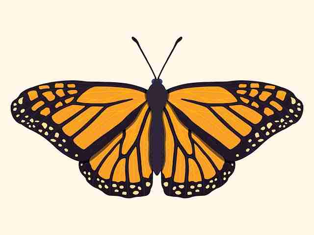 51漫画官网“云存稿箱”实测:作者偷懒神器?